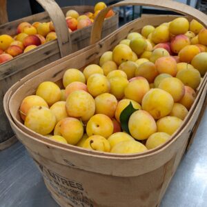 Plum Jam