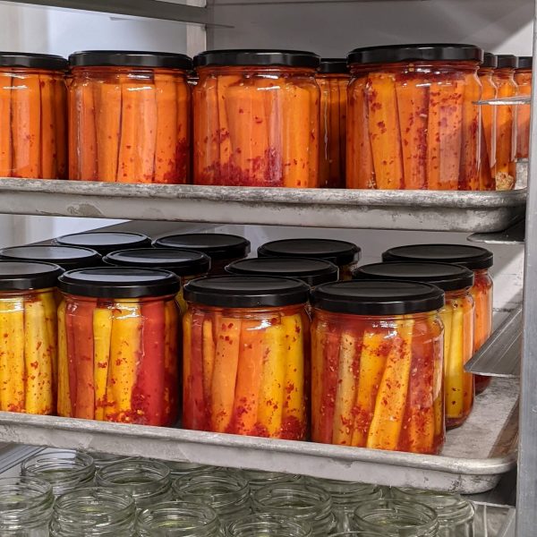 Classic and Rainbow Spicy Pickled Carrots