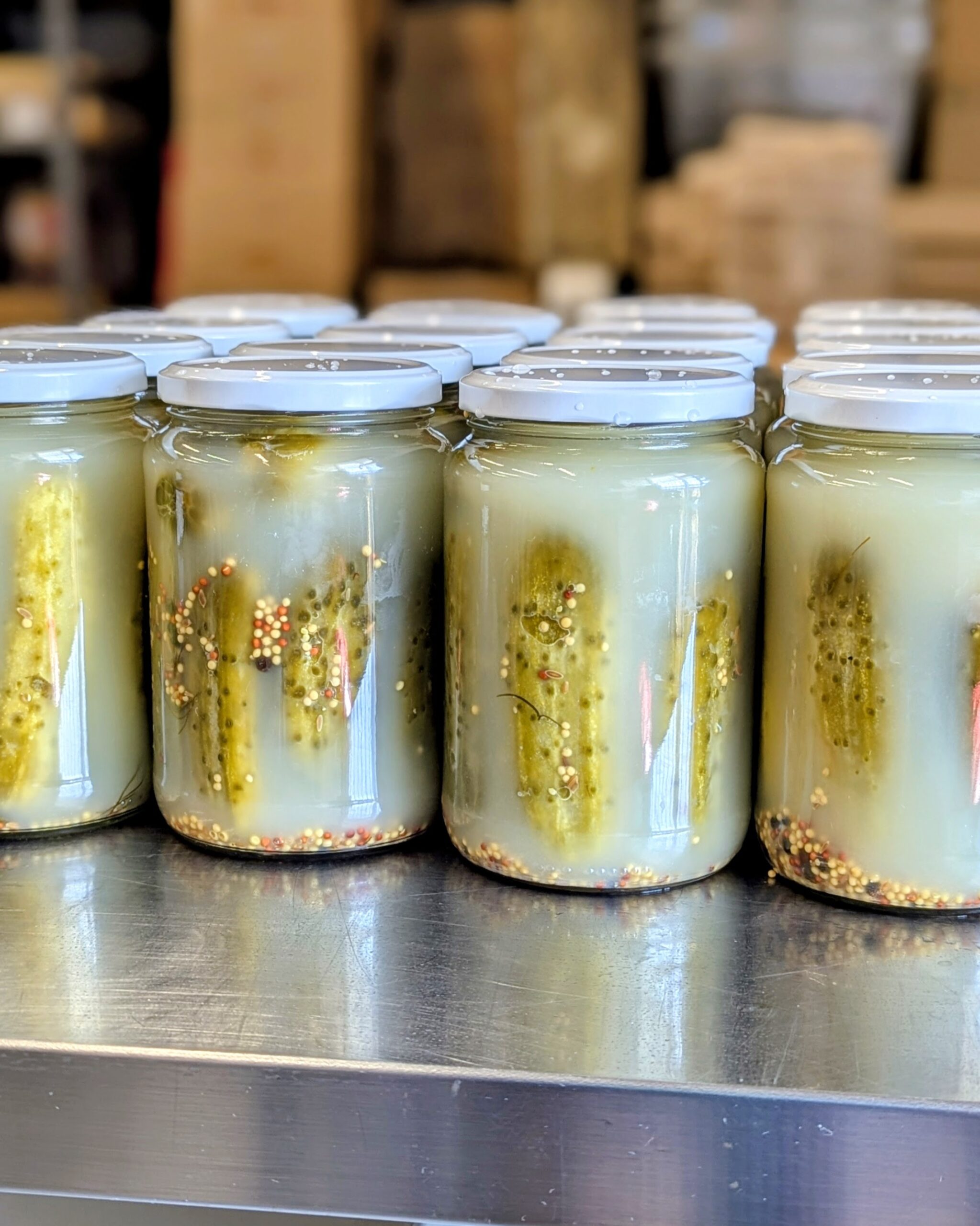 PXL_20250814_155011700.PORTRAIT~2