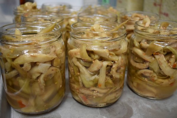 jars of pickled eggplant